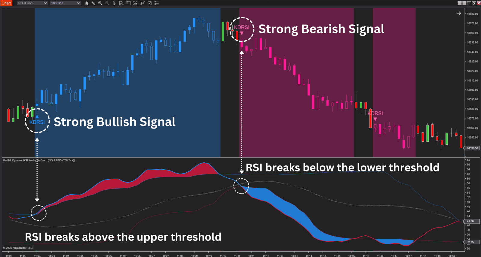 karthik-dynamic-rsi-pro.png